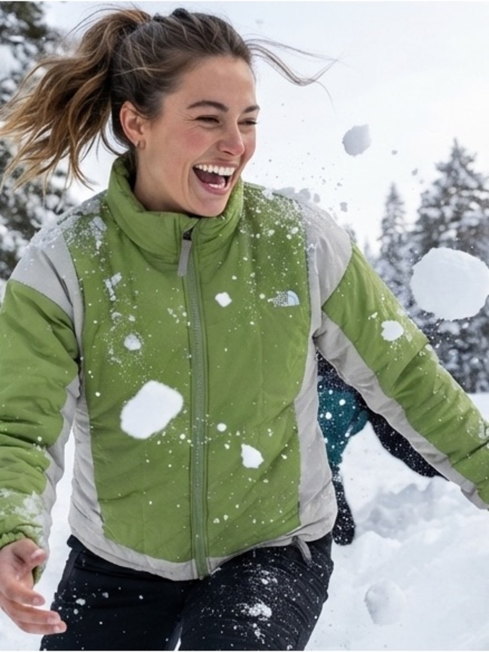 The North Face Jacket (vintage)
